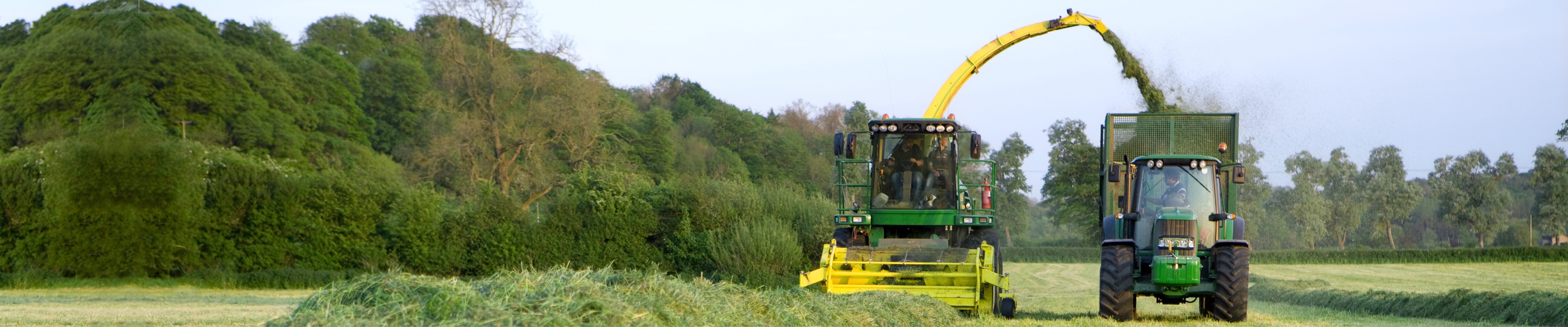 10711_Making silage sense header 1920x400