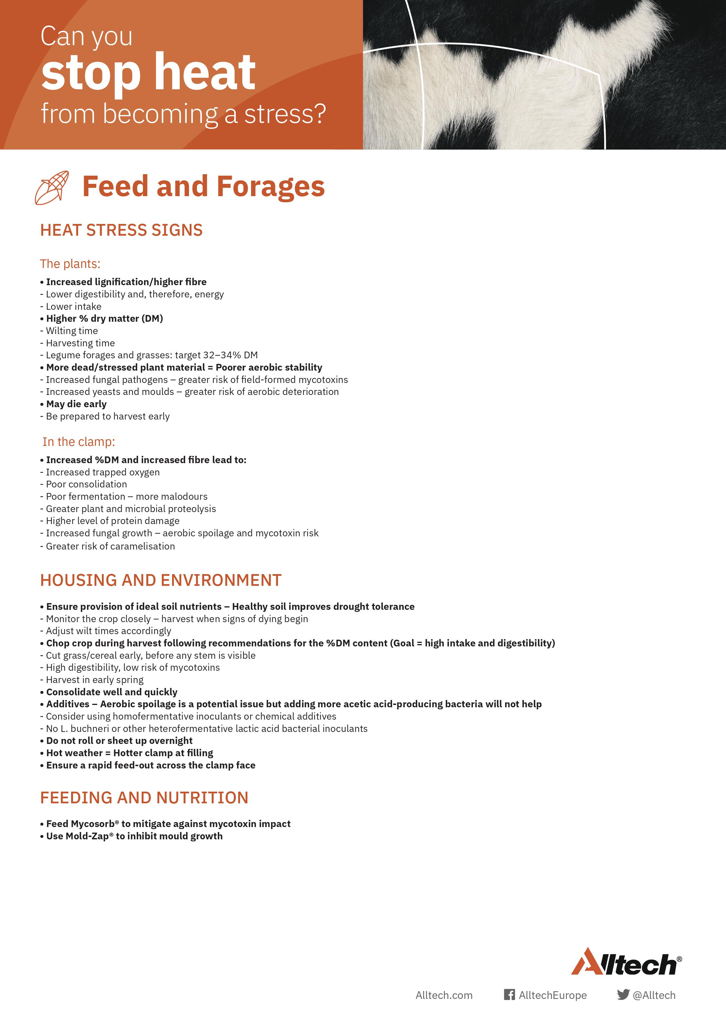 11950 EU Heat Stress_One Pager_Feed_Forage_2022