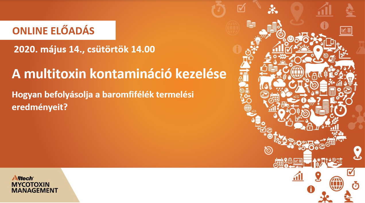 6.webinár kép 6.webinár kép