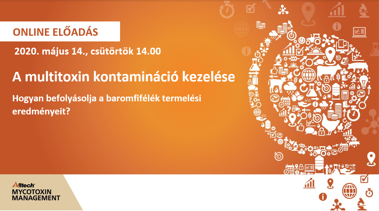 6.webinár kép