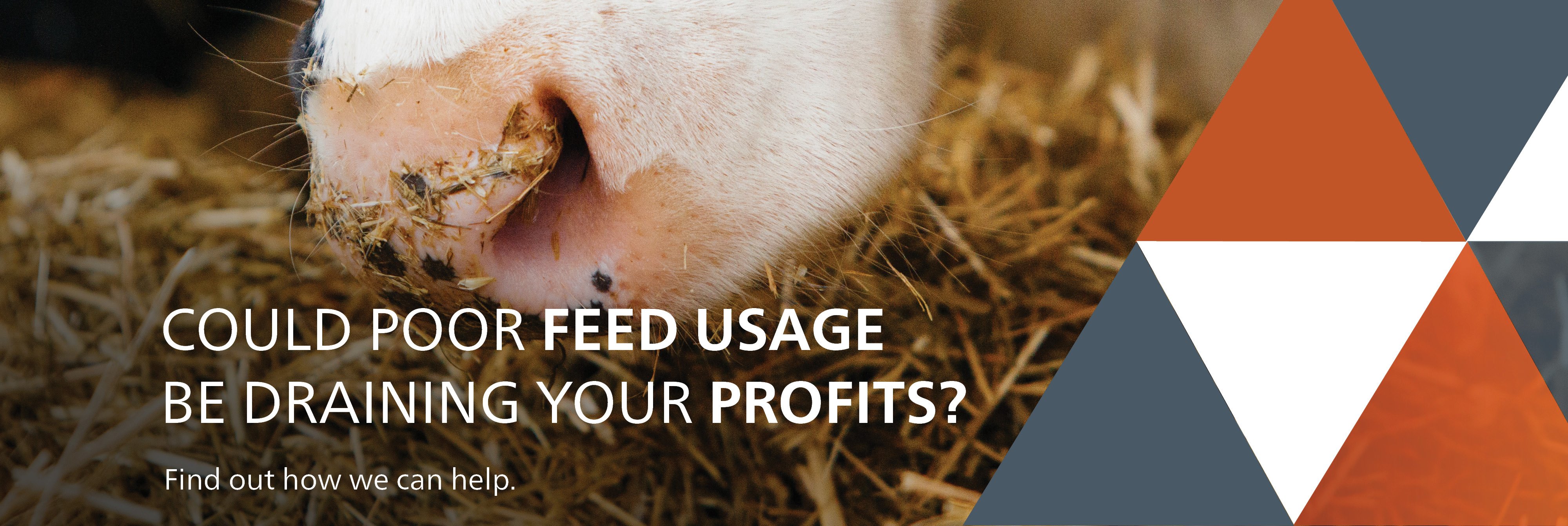 Alltech Rumen Function