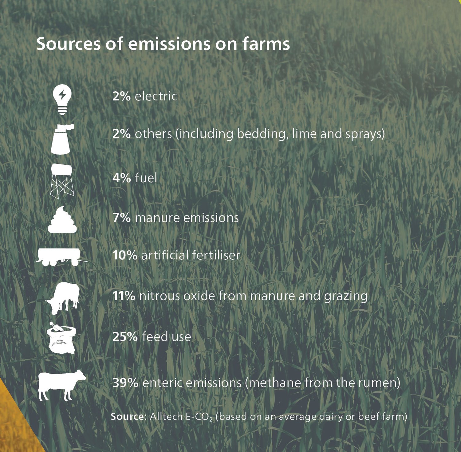 Alltech Rumen Function