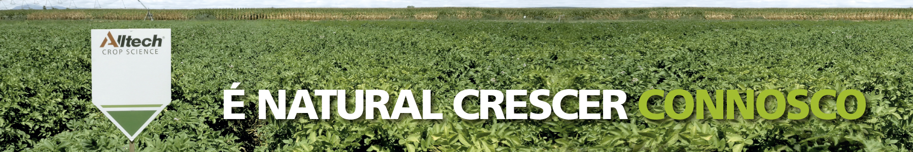 ACS_AgroGlobal_Header_1800x300px_v3-1