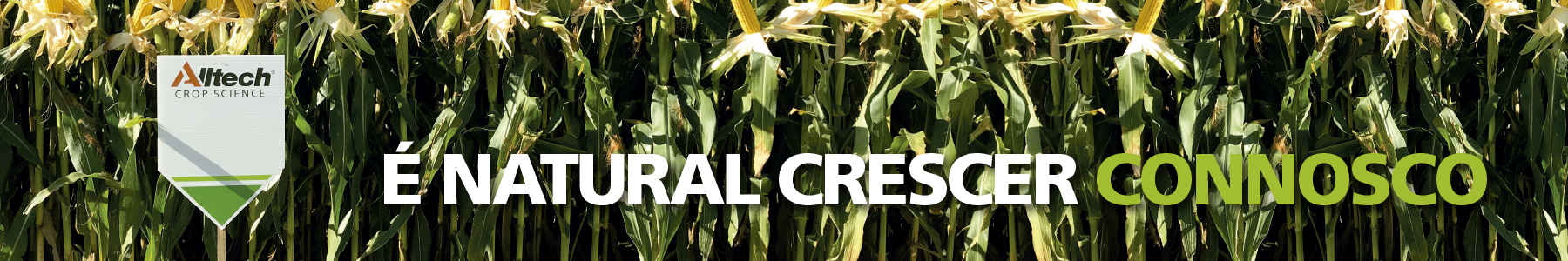 ACS_AgroGlobal_Header_1800x300px_v3-2