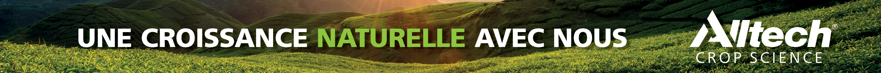 ACS_Banner_3000x250px_MA_v2