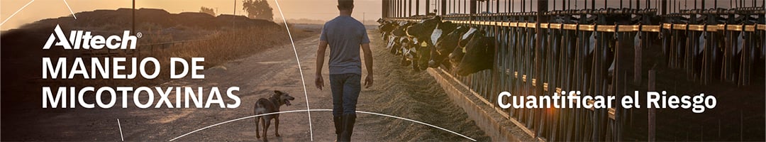 ALLTECH CAMPAÑA MICOTOXINAS BANNER CUANTIFICAR
