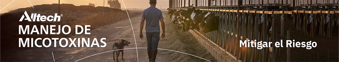 ALLTECH CAMPAÑA MICOTOXINAS BANNER MITIGAR
