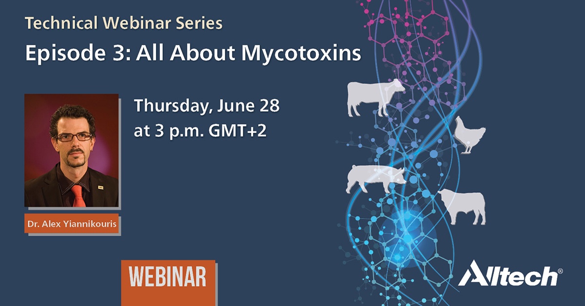 All about mycotoxins - Hubspot 1200 x 628.jpg