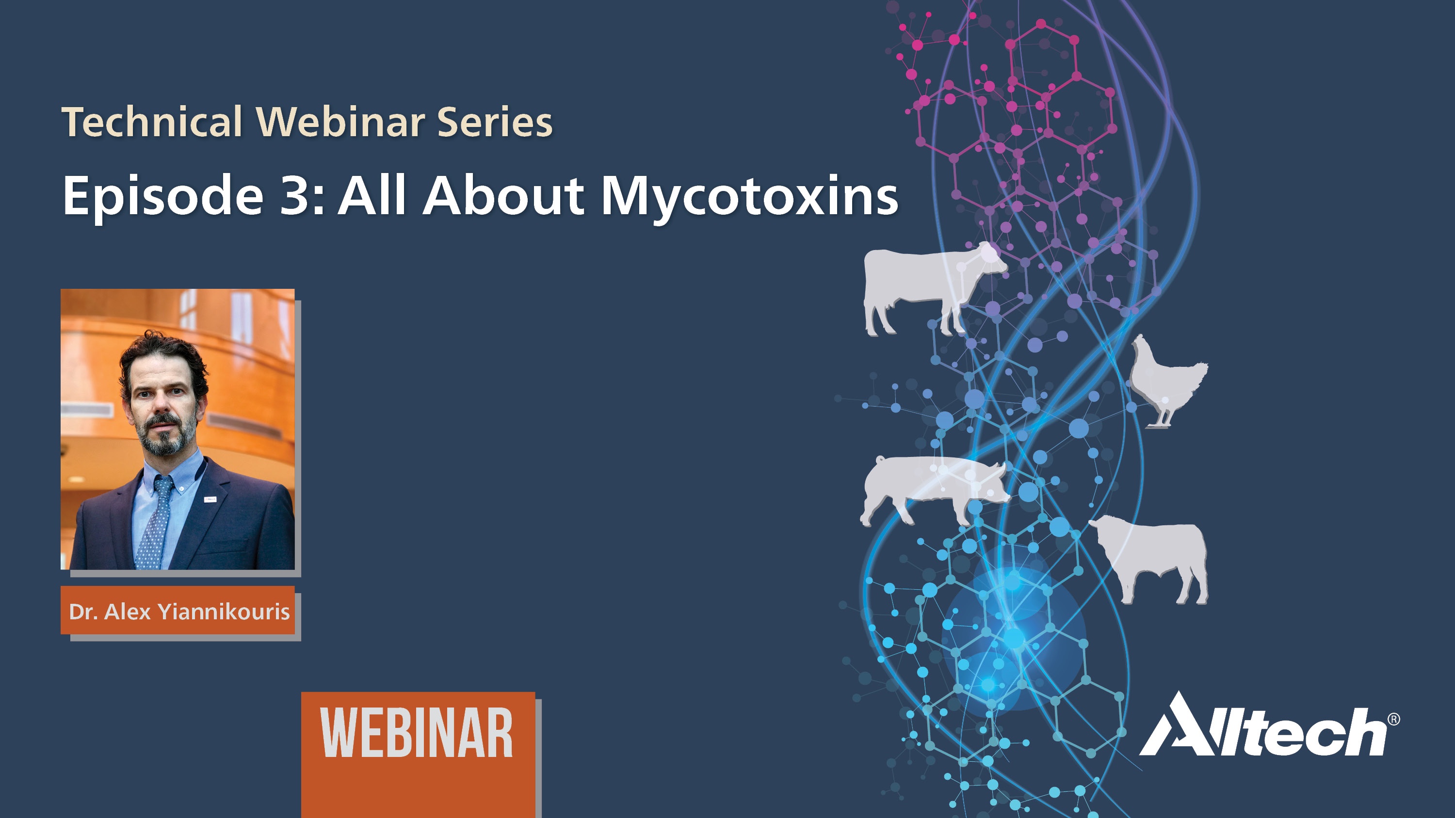 All about mycotoxins - widescreen PPT v2.jpg