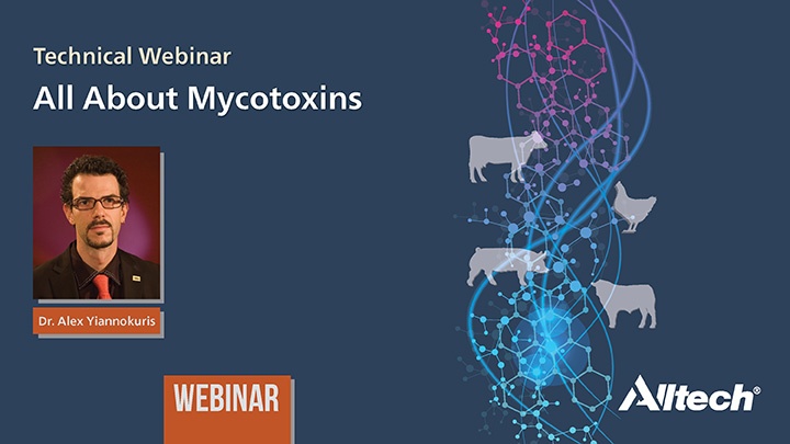 All-about-mycotoxins