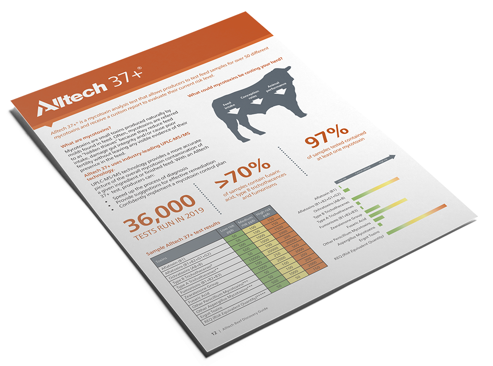 Alltech-37+_Discovery-Guide-USA-Beef-2020-Graphic-2