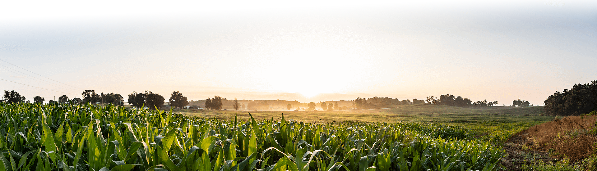 Alltech-Dairy-Farm-footer-image