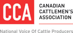 CCA Logo 2 High Res CCA Logo 2 High Res