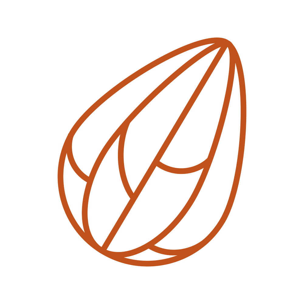 Digital PNG-icon-almond-P167