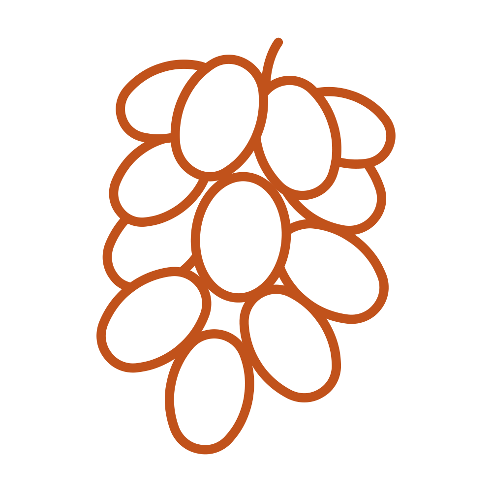 Digital PNG-icon-grapes-P167