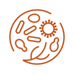 Digital PNG-icon-microbes-P167