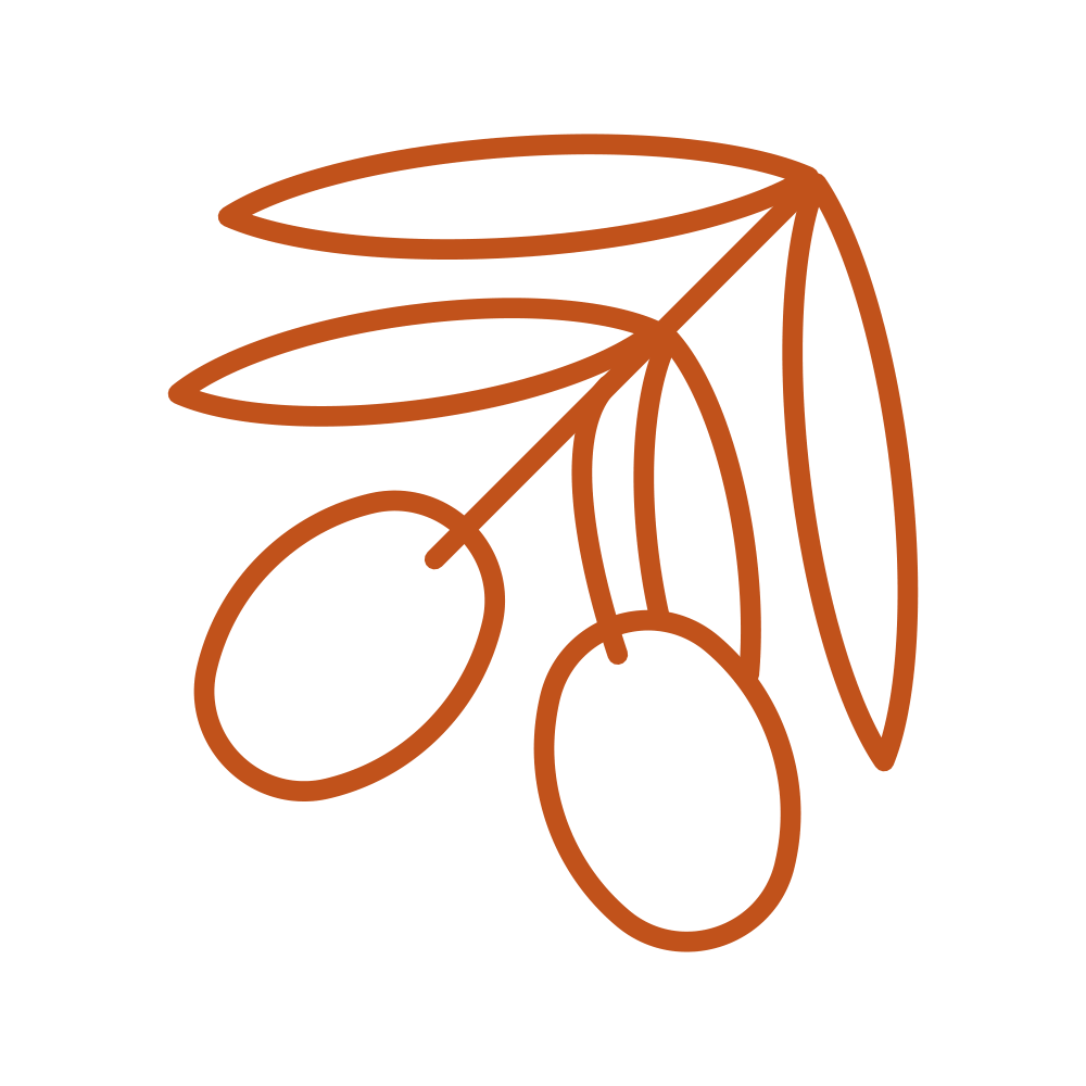 Digital PNG-icon-olives-P167