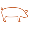 Digital PNG-icon-pig-P167 (1)