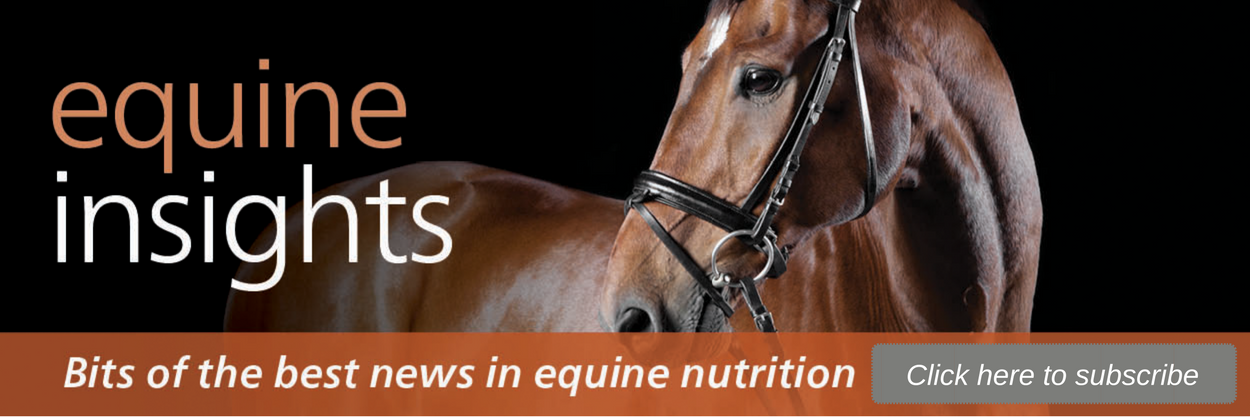 Equine Insights Header w Button.png