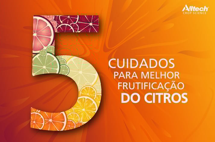 Frutificação-Citros-Horizontal