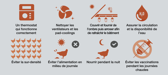 Gestion du stress thermique