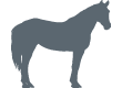Icon-Equine-431.png