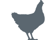 Icon-Poultry-431_1.png
