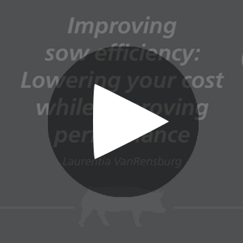 ImprovingSow_play_button