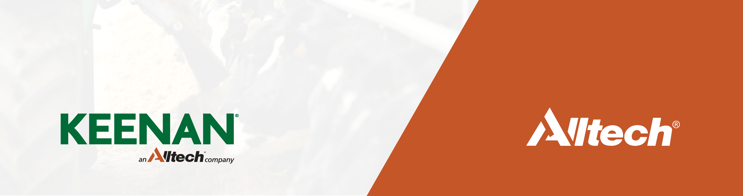Keenan_Alltech_Header.gif