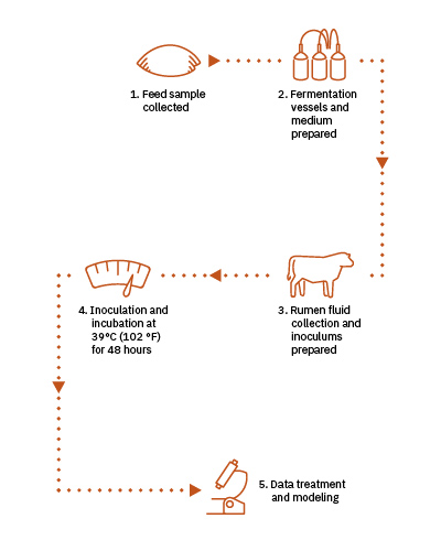 Alltech® Canada Feed Efficiency Video Series | Beef
