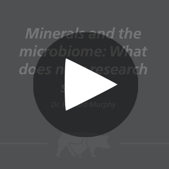MineralsImmunity_mono_play_button-1