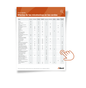 Mokup-guia-de-efectos_cerdos-1