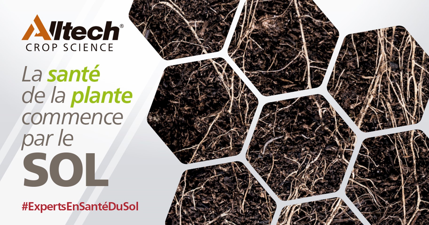 Morocco Soil campaign - landing page Morocco Soil campaign - landing page
