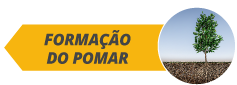 botoes_fases_site_citros_alltech02-a.png