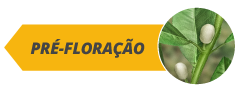 botoes_fases_site_citros_alltech05-a.png