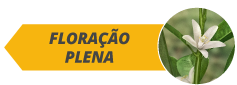 botoes_fases_site_citros_alltech06-a.png
