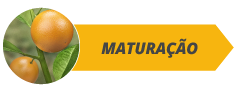 botoes_fases_site_citros_alltech07-b.png
