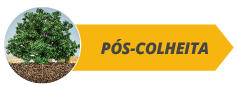 Pós-colheita