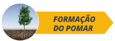botoes_fases_site_citros_alltech09-b.png