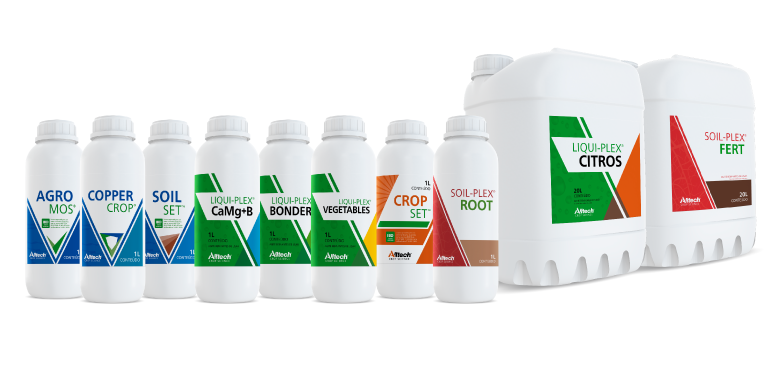 topo_site_cafe_alltech_mobile.png
