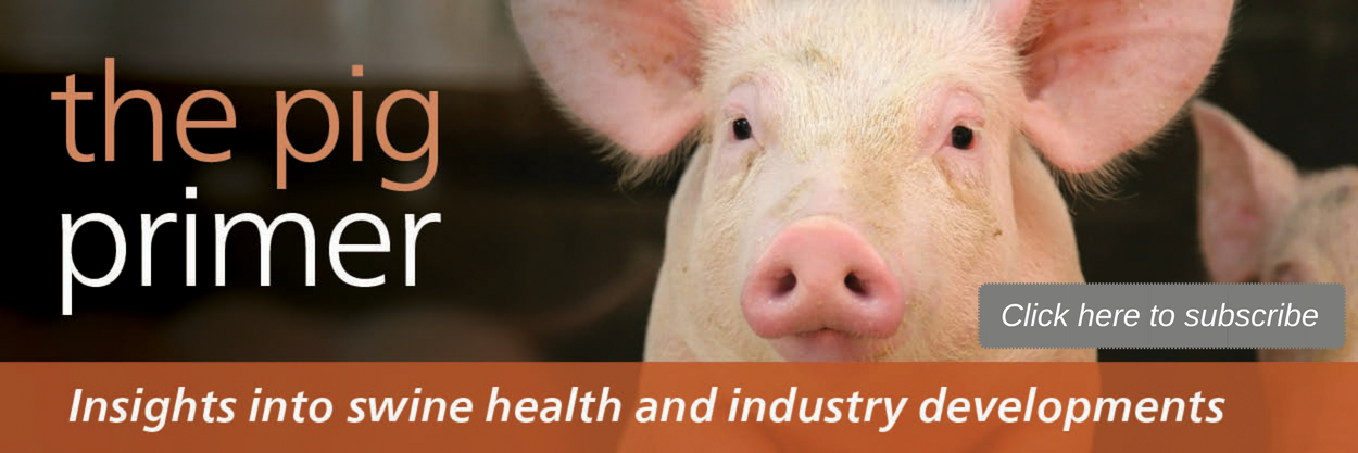 Pig Primer Header w Button.png