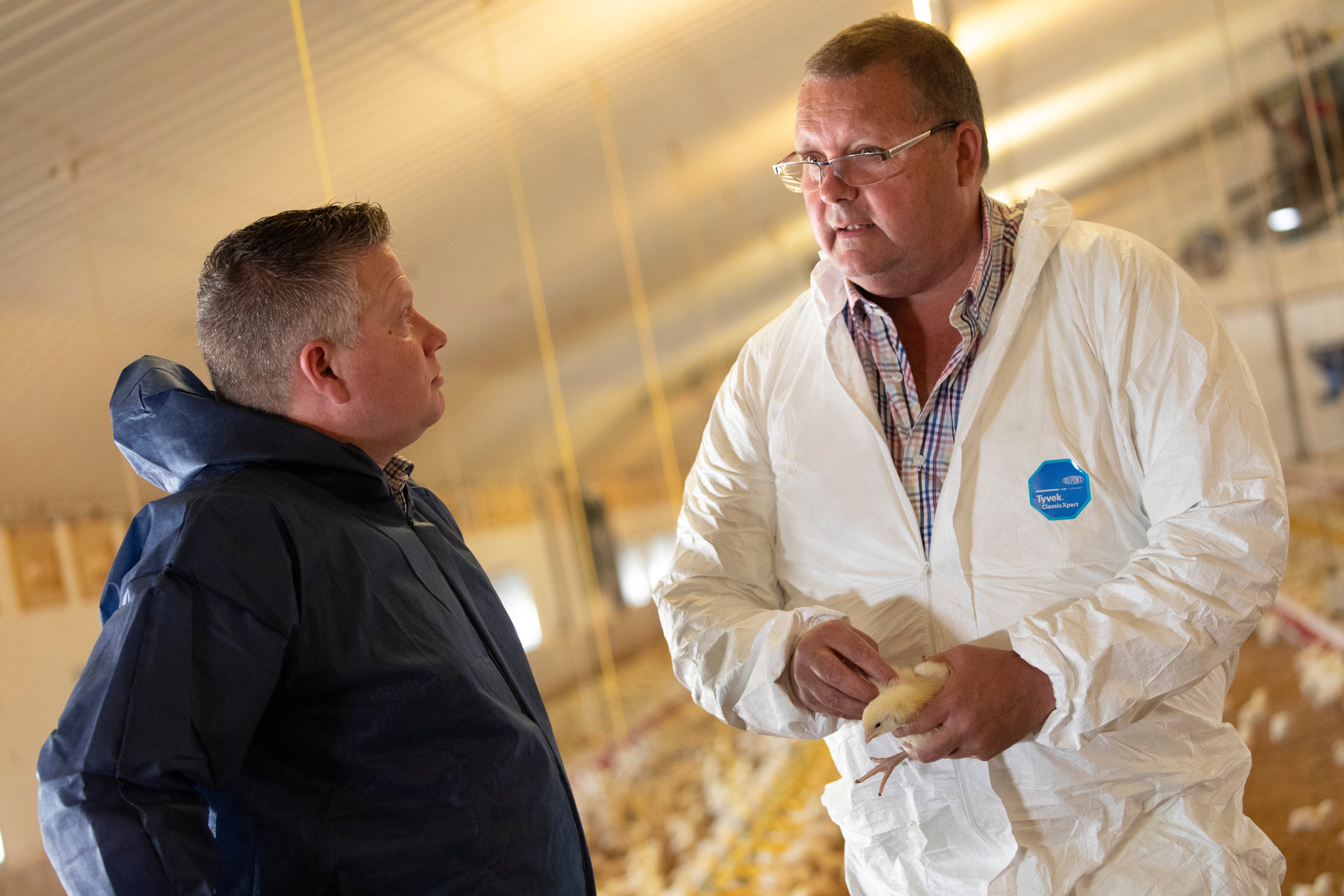 Shropshire-Poultry-UK-2019-053