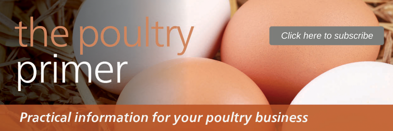 Poultry Primer Header w Button.png