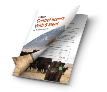 Scours_Guide_Download_Graphic_2022