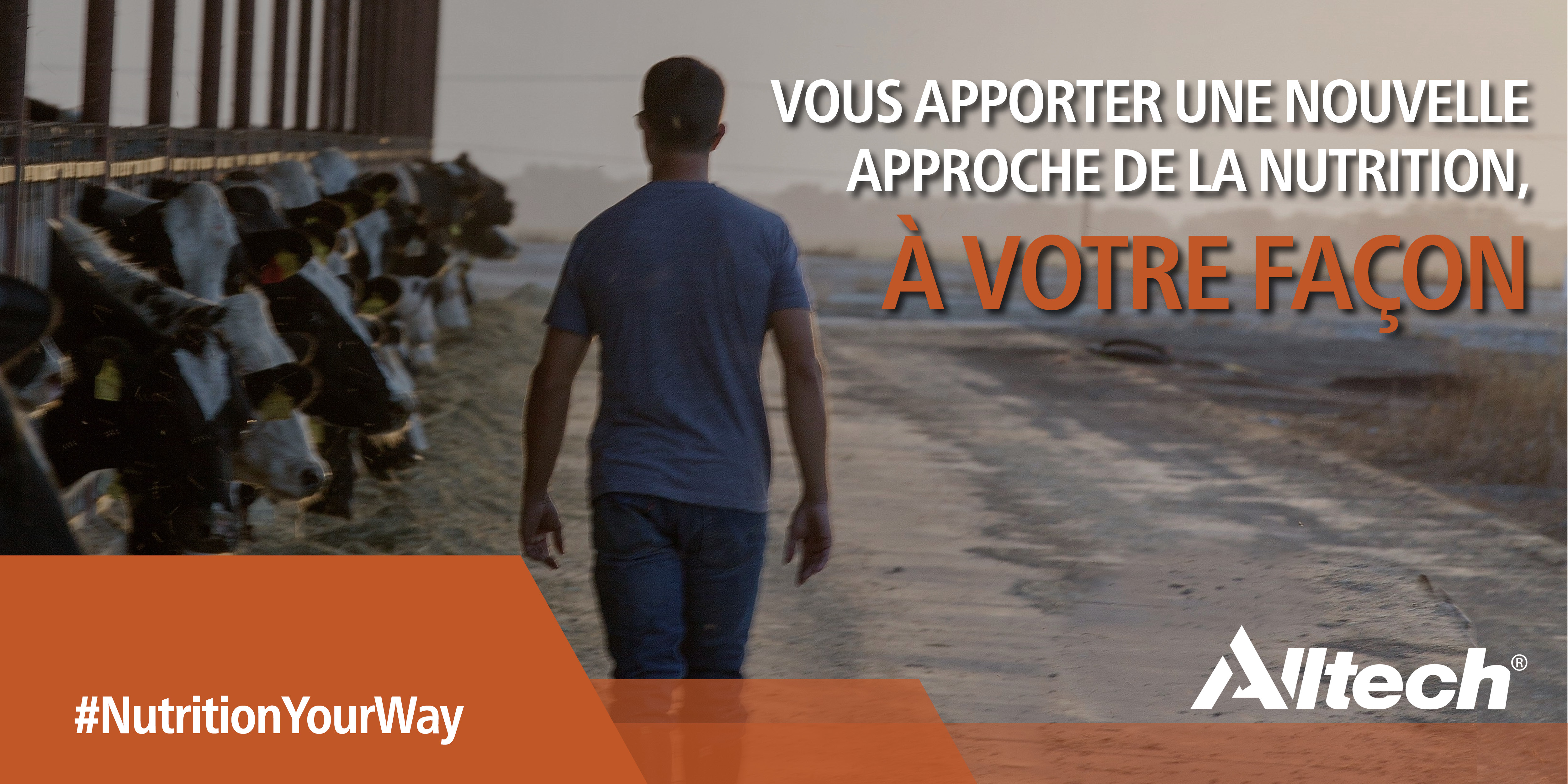 7051_Nutrition Your Way - Hubspot header FRENCH without wheel.jpg