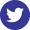 Twitter-Masterfeeds-100x100