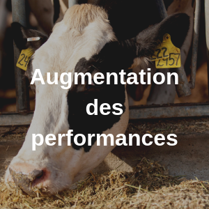 Un mélange de co-produits économique (5)