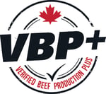 VBP_Logo_Colour - LARGE VBP_Logo_Colour - LARGE
