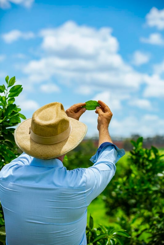 Web JPG-0422_Citrus_Solo Web JPG-0422_Citrus_Solo