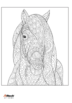colouring image - adults